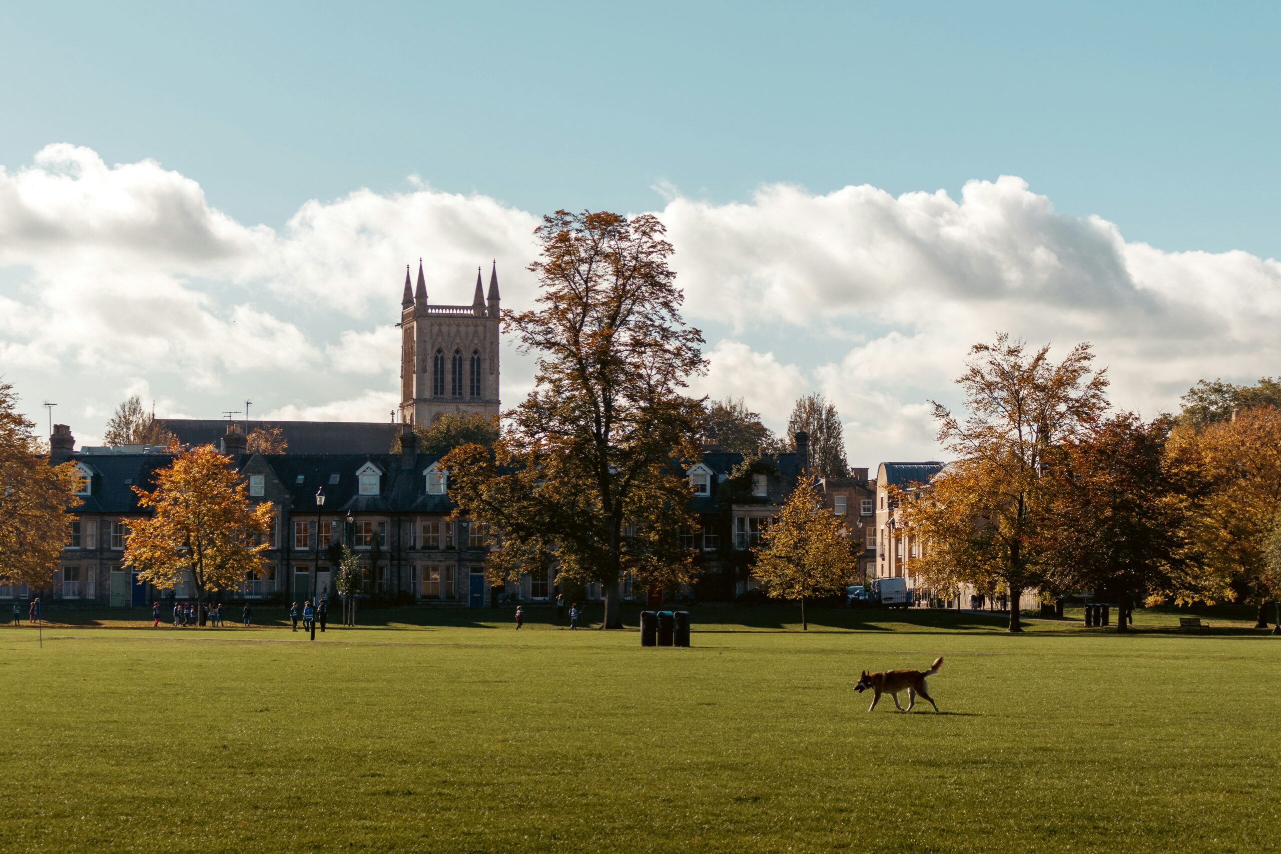 Cambridge Half Marathon 2025